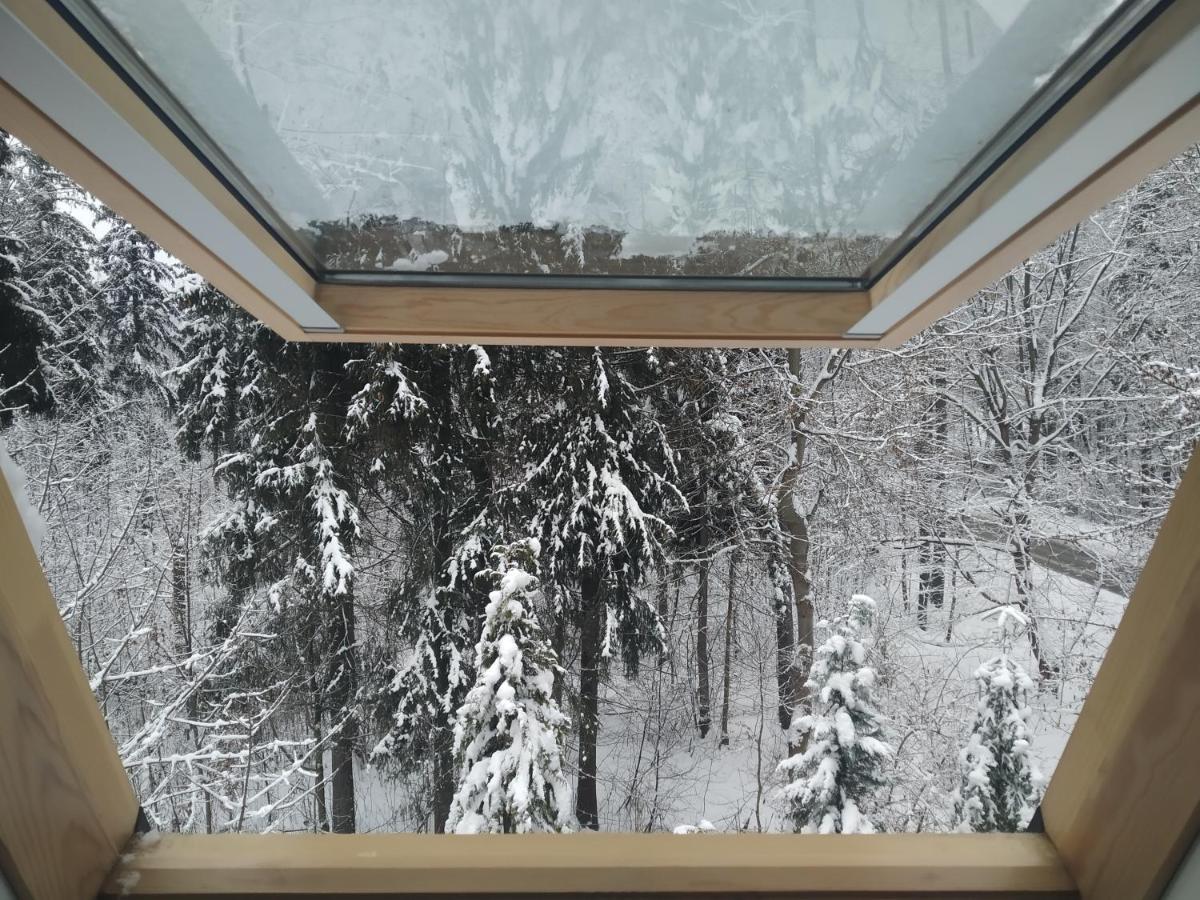 Apartamenty Krokiew 扎科帕内 外观 照片