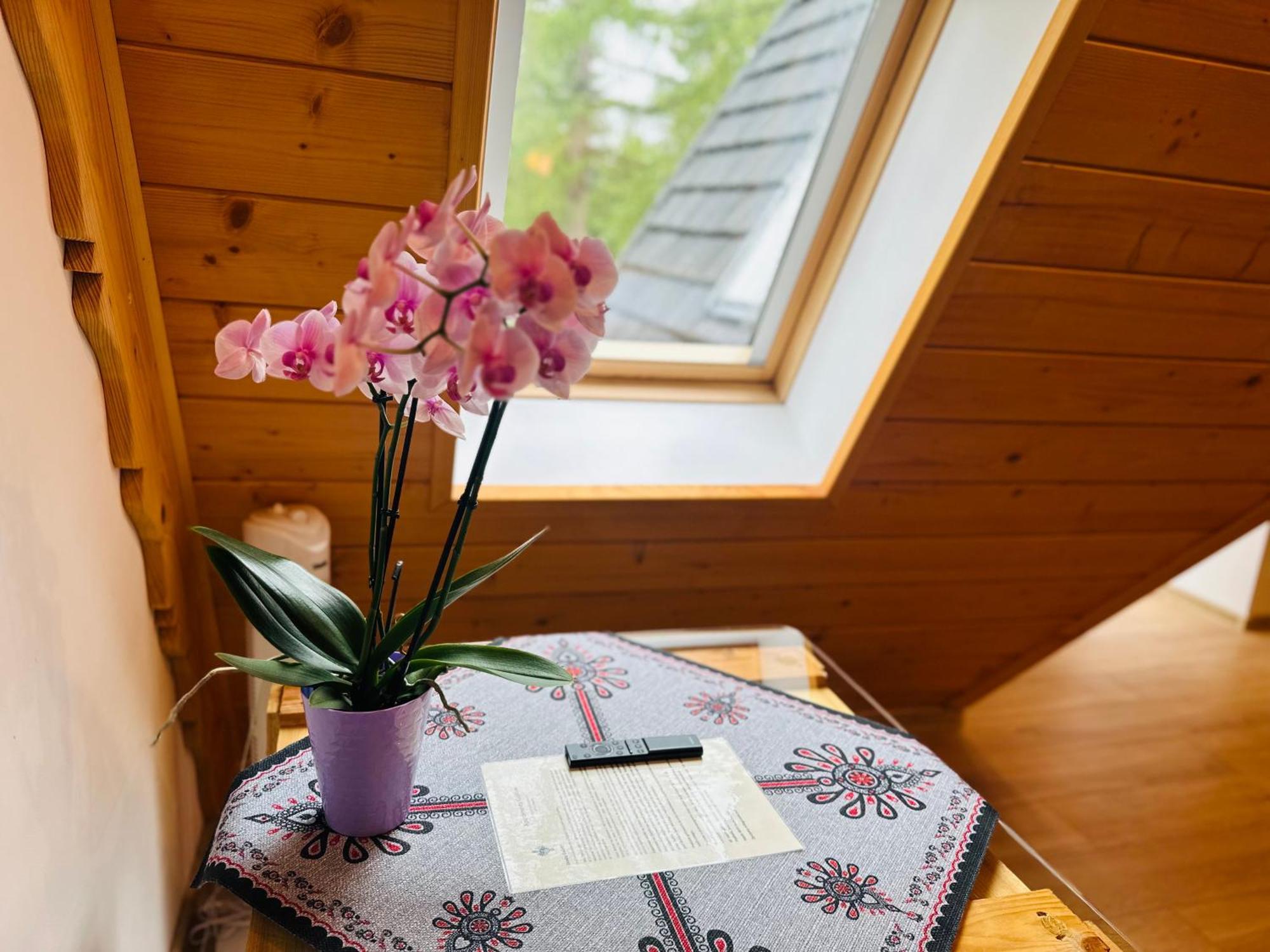Apartamenty Krokiew 扎科帕内 外观 照片